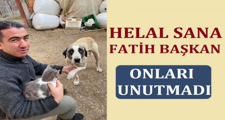 HELAL SANA FATİH BAŞKAN