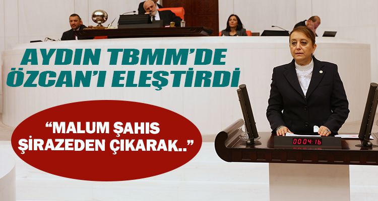 AYDIN TBMM'DE ÖZCAN'I ELEŞTİRDİ