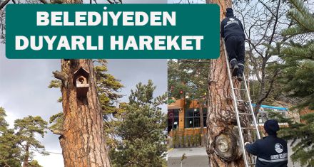 BELEDİYEDEN DUYARLI HAREKET