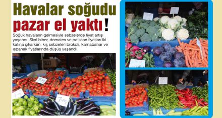 Domates zam şampiyonu oldu 