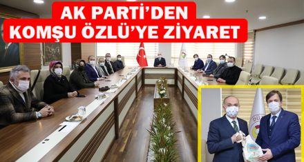 AK PARTİ'DEN KOMŞU ÖZLÜ'YE ZİYARET