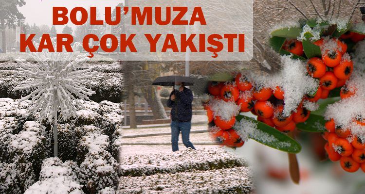 BOLU'MUZA KAR ÇOK YAKIŞTI