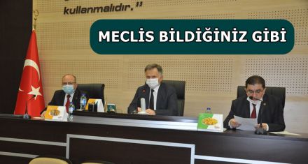 MECLİS BİLDİĞİNİZ GİBİ