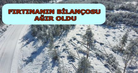 FIRTINANIN BİLANÇOSU AĞIR OLDU