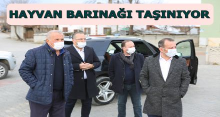 HAYVAN BARINAĞI TAŞINIYOR