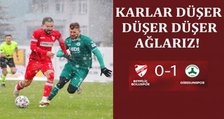 DÜŞÜŞÜMÜZ SÜRÜYOR
