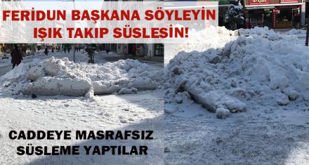 FERİDUN BAŞKANA SÖYLEYİN IŞIK TAKIP SÜSLESİN!