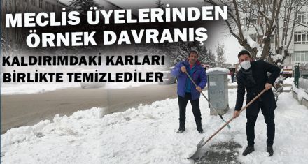 MECLİS ÜYELERİ KARLARI TEMİZLEDİ