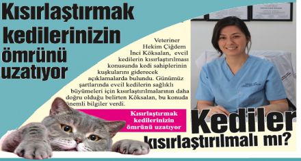 Kediler kısırlaştırılmalı mı?