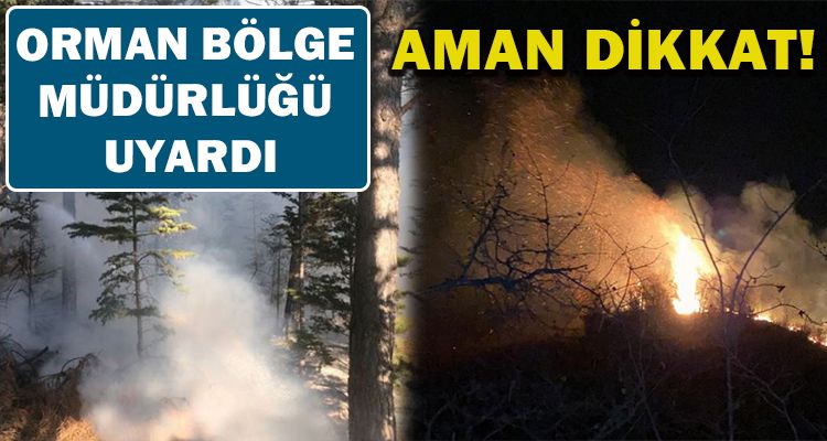 ORMAN BÖLGE MÜDÜRLÜĞÜ UYARDI
