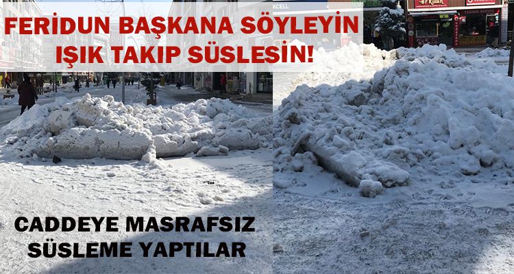 FERİDUN BAŞKANA SÖYLEYİN IŞIK TAKIP SÜSLESİN!