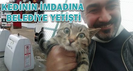 KEDİNİN İMDADINA BELEDİYE YETİŞTİ