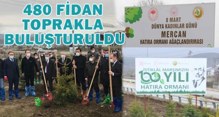 480 FİDAN TOPRAKLA BULUŞTURULDU.