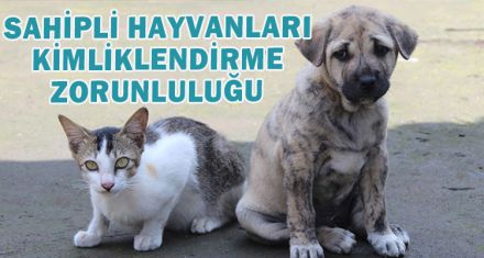 SAHİPLİ KEDİ, KÖPEK VE GELİNCİKLER KİMLİKLENDİRİLEREK KAYIT ALTINA ALINACAK