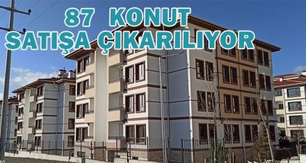 87  KONUT SATIŞA SUNULUYOR