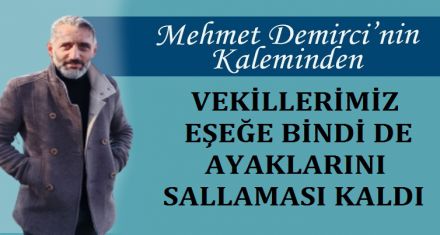 VEKİLLERİMİZ EŞEĞE BİNDİN DE AYAKLARINI SALLAMASI KALDI!