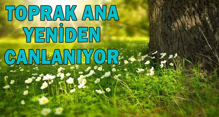 TOPRAK ANA YENİDEN CANLANIYOR