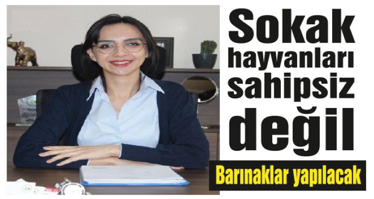 Yeni barınaklar inşa edilecek