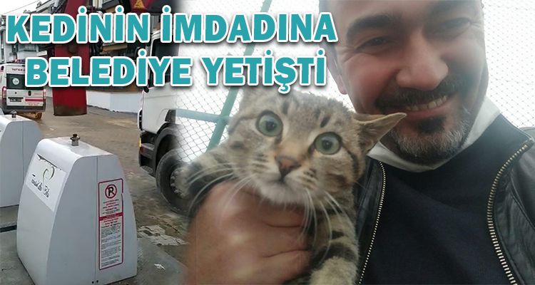 KEDİNİN İMDADINA BELEDİYE YETİŞTİ