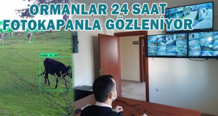 ORMANLAR 24 SAAT FOTOKAPANLA GÖZLENİYOR