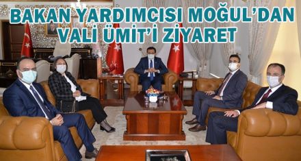 BAKAN YARDIMCISI MOĞUL'DAN VALİ ÜMİT'İ ZİYARET   