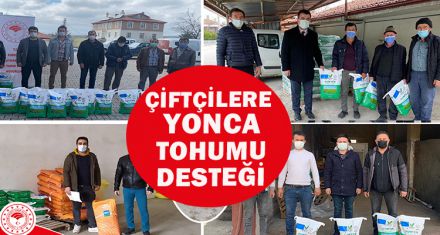 ÇİFTÇİLERE YONCA TOHUMU DESTEĞİ