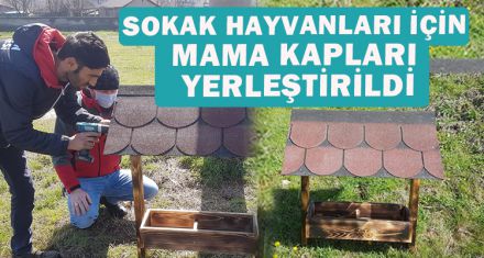 SOKAK HAYVANLARI İÇİN MAMA KAPLARI YERLEŞTİRİLDİ.