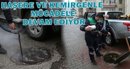 HAŞERE VE KEMİRGEN İLE MÜCADELE DEVAM EDİYOR