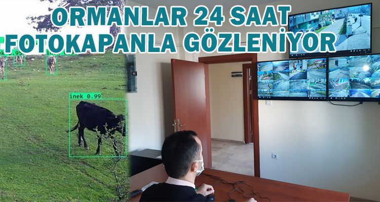 ORMANLAR 24 SAAT FOTOKAPANLA GÖZLENİYOR
