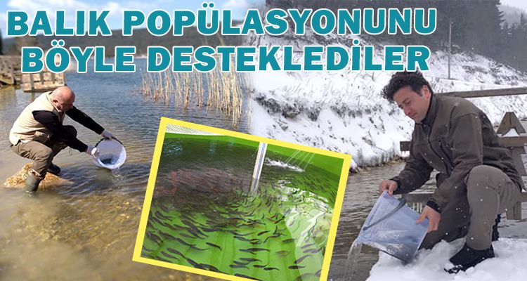 BALIK POPÜLASYONUNU BÖYLE DESTEKLEDİLER