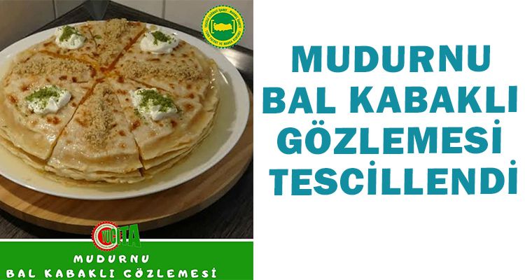 MUDURNU BAL KABAKLI GÖZLEMESİ TESCİLLENDİ.
