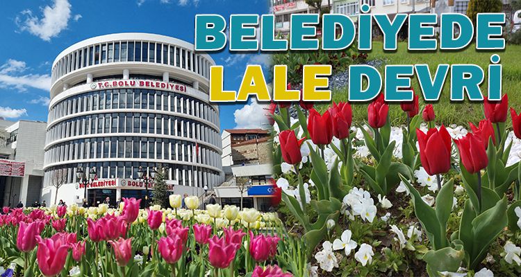 BELEDİYEDE LALE DEVRİ.