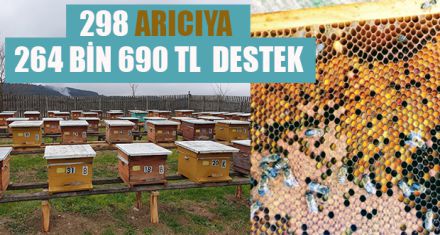 298 ARICIYA 264 BİN 690 TL  DESTEK