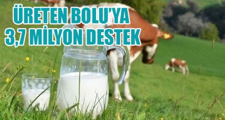 ÜRETEN BOLU'YA 3,7 MİLYON DESTEK