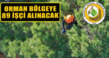 ORMAN BÖLGE MÜDÜRLÜĞÜ'NE 89 İŞÇİ ALINACAK