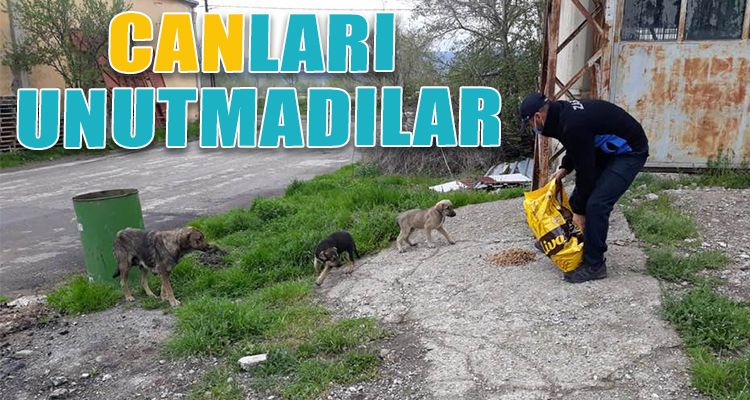 CANLARI UNUTMADILAR