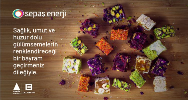 SEPAŞ ENERJİ