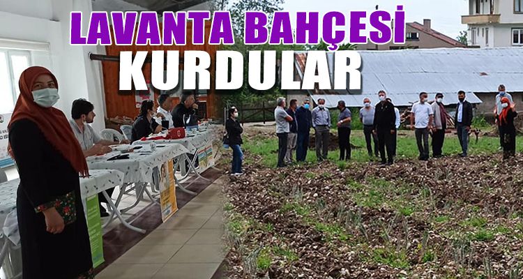 LAVANTA BAHÇESİ KURDULAR