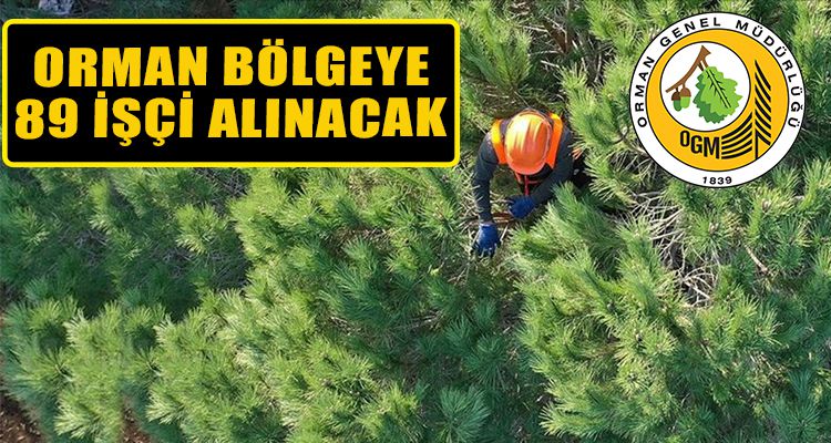 ORMAN BÖLGE MÜDÜRLÜĞÜ'NE 89 İŞÇİ ALINACAK