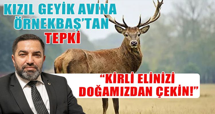KIZIL GEYİK AVINA ÖRNEKBAŞ TEPKİ GÖSTERDİ