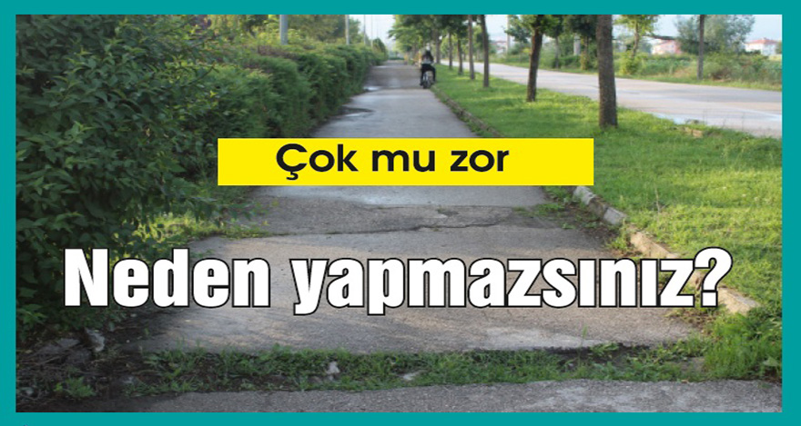 Bozduklarımızı bir yapabilsek!