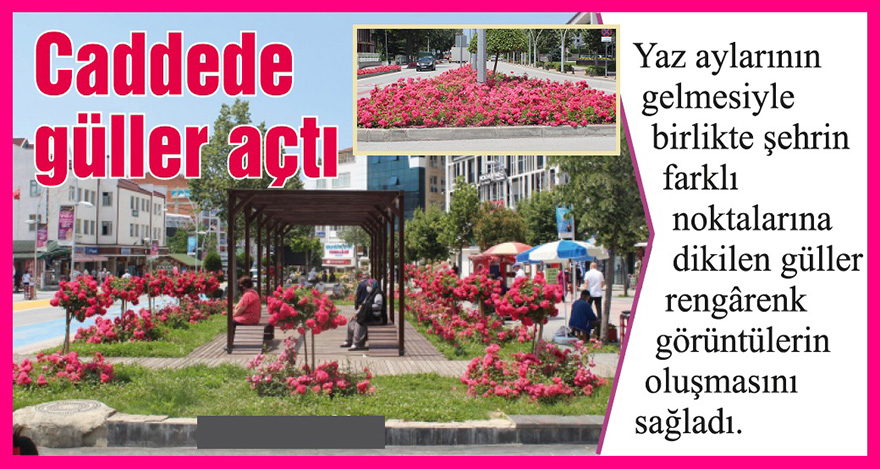 Gül açtı sokaklarımızda