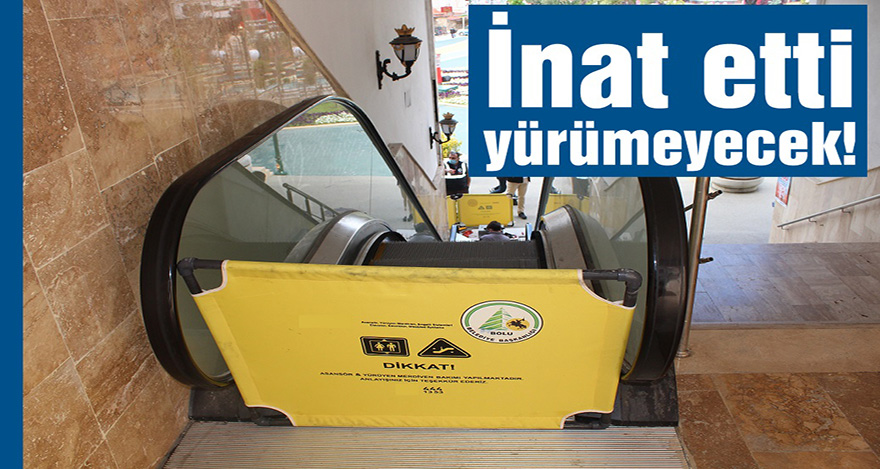 İnat etti yürümeyecek!