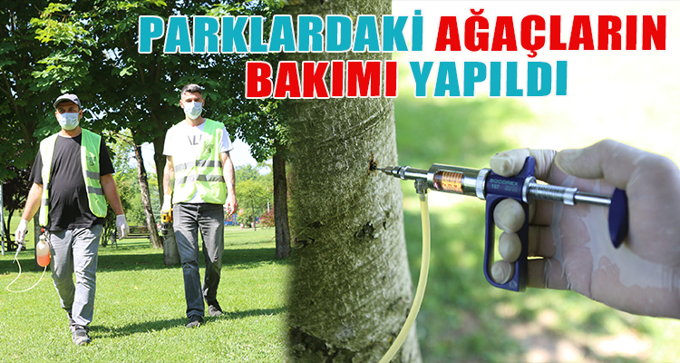 PARKLARDAKİ AĞAÇLARIN BAKIMI YAPILDI