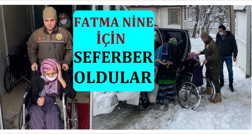 FATMA NİNE İÇİN SEFERBER OLDULAR