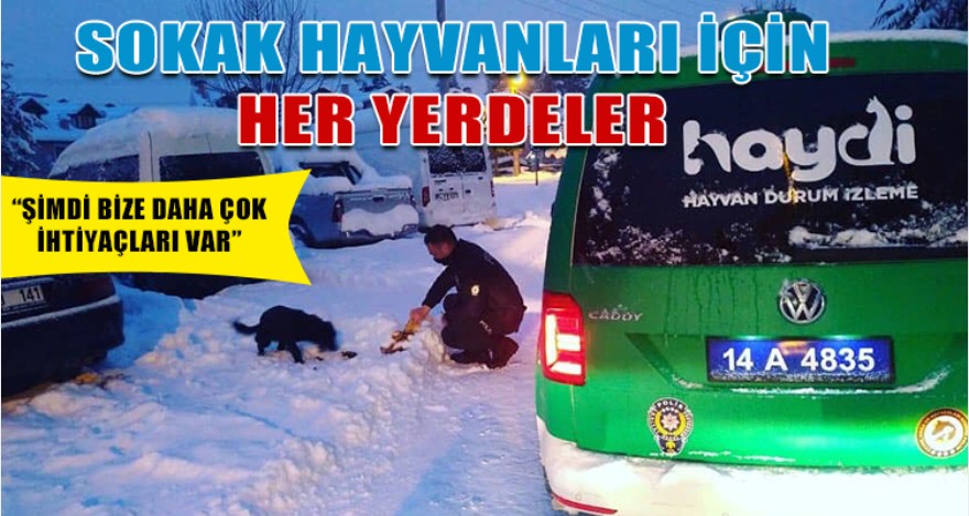 SOKAK HAYVANLARI İÇİN HER YERDELER