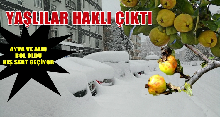 YAŞLILAR HAKLI ÇIKTI