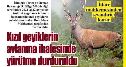 Kızıl geyiklerin avlanma ihalesinde yürütme durduruldu
