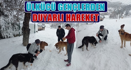 ÜLKÜCÜ GENÇLERDEN DUYARLI HAREKET