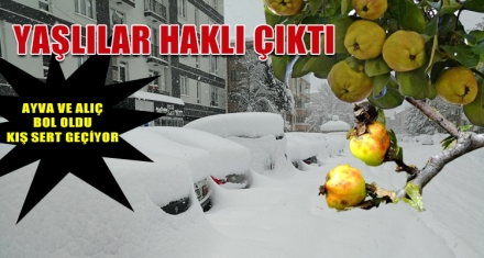 YAŞLILAR HAKLI ÇIKTI